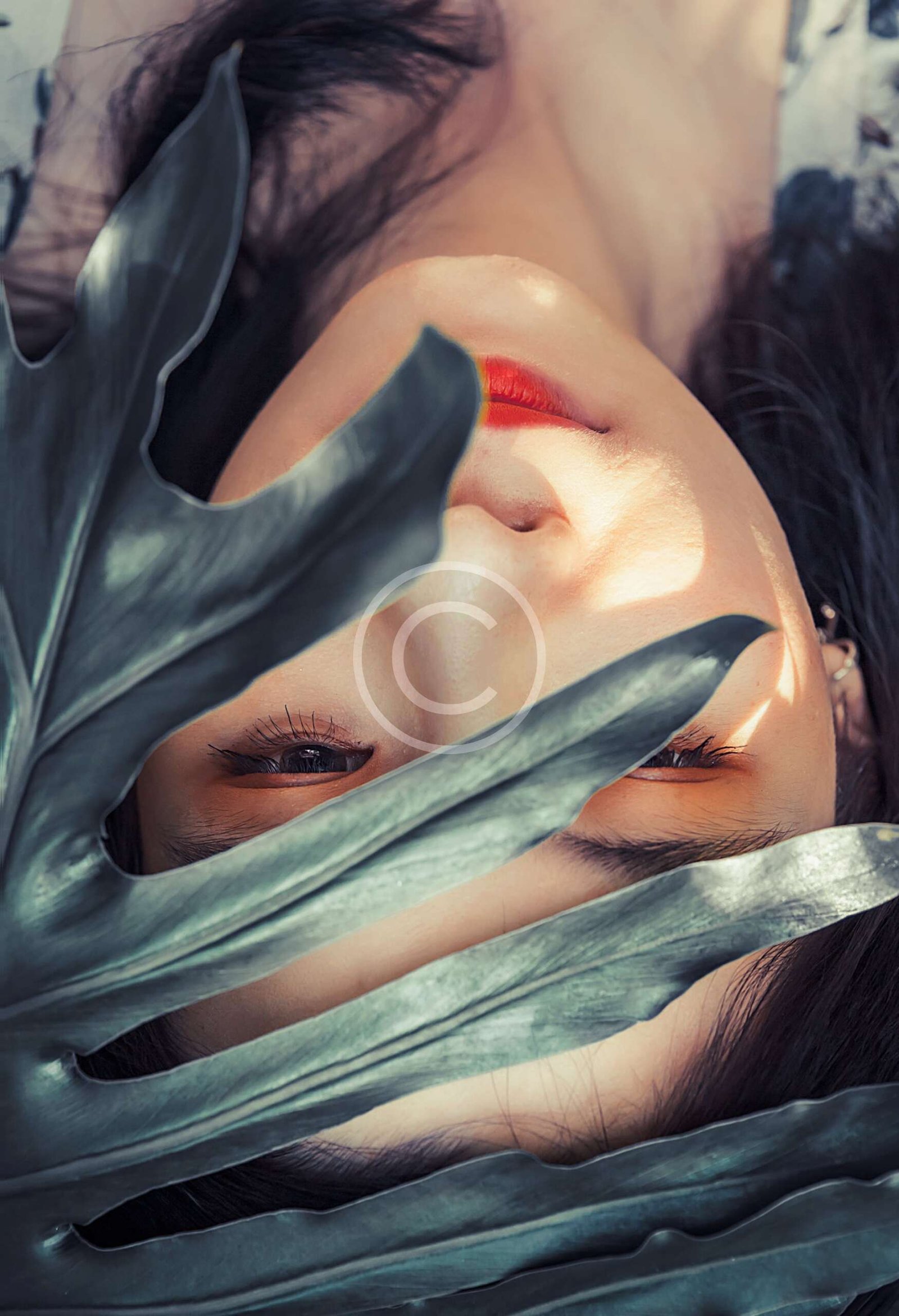 image-copyright (4)